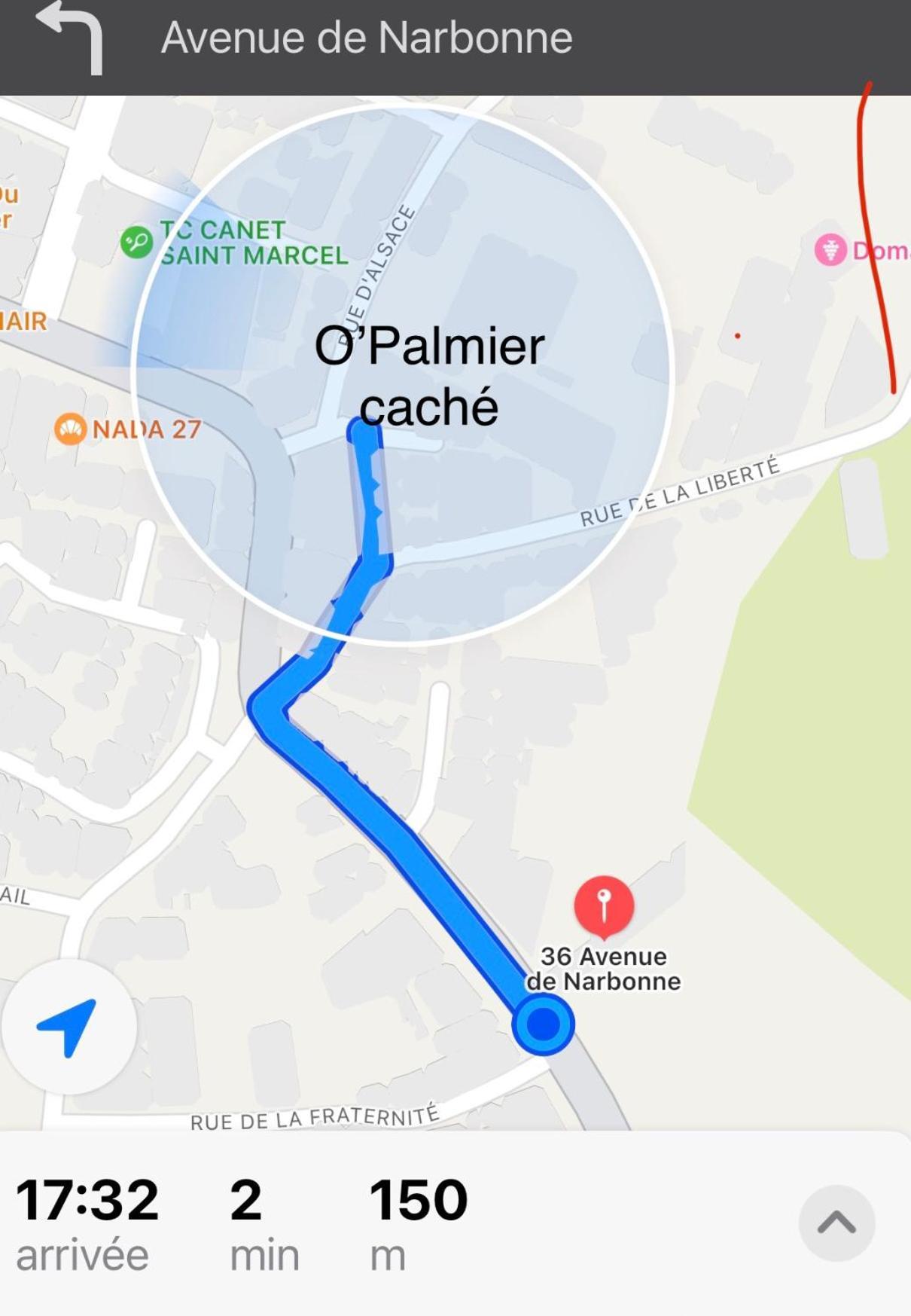 O'Palmier Cache Bed & Breakfast Saint-Marcel-sur-Aude ภายนอก รูปภาพ