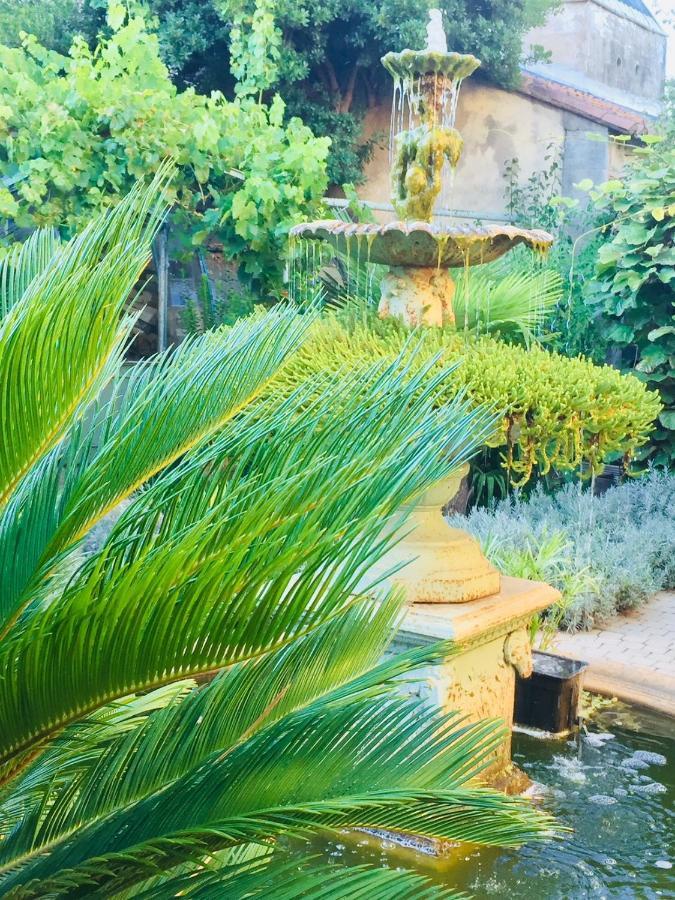 O'Palmier Cache Bed & Breakfast Saint-Marcel-sur-Aude ภายนอก รูปภาพ